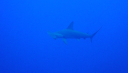 DSC00045.PNG