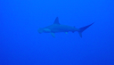 DSC00046.PNG