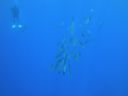 DSC00144.JPG