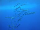 DSC00146.JPG