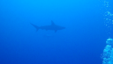 DSC00153.PNG