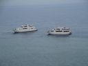 DSC00166.JPG