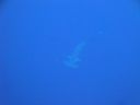 DSC00169.JPG