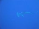 DSC00170.JPG