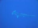DSC00171.JPG
