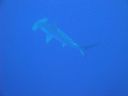 DSC00172.JPG