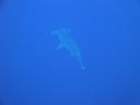 DSC00173.JPG