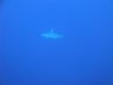 DSC00174.JPG