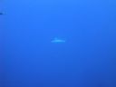 DSC00175.JPG