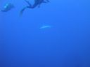 DSC00176.JPG