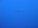 DSC00177.JPG