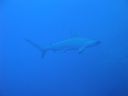 DSC00179.JPG