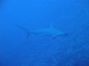 DSC00180.JPG