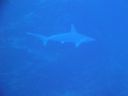DSC00182.JPG