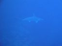 DSC00183.JPG