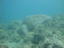 DSC00215.JPG