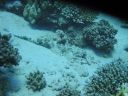 DSC00222.JPG