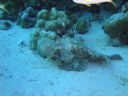 DSC00228.JPG