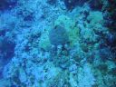 DSC00233.JPG