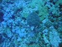 DSC00234.JPG
