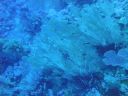 DSC00235.JPG