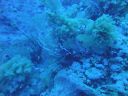 DSC00236.JPG
