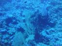 DSC00237.JPG