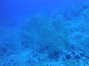 DSC00238.JPG