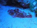 DSC00241.JPG