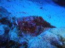 DSC00242.JPG