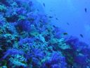 DSC00243.JPG