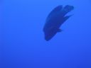 DSC00245.JPG