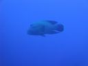 DSC00246.JPG