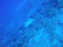 DSC00247.JPG