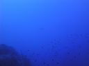 DSC00251.JPG