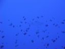 DSC00252.JPG
