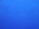 DSC00255.JPG