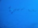 DSC00256.JPG