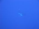 DSC00257.JPG