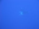 DSC00258.JPG