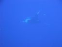 DSC00259.JPG