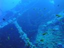 DSC00265.JPG