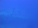 DSC00267.JPG