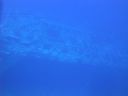DSC00269.JPG
