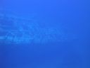 DSC00270.JPG