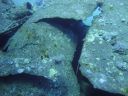 DSC00415.JPG