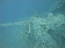 DSC00457.JPG