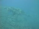 DSC00458.JPG