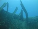DSC00494.JPG