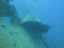 DSC00502.JPG